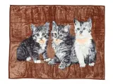 koc-elway-160x210-koty