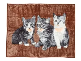 koc-elway-160x210-koty