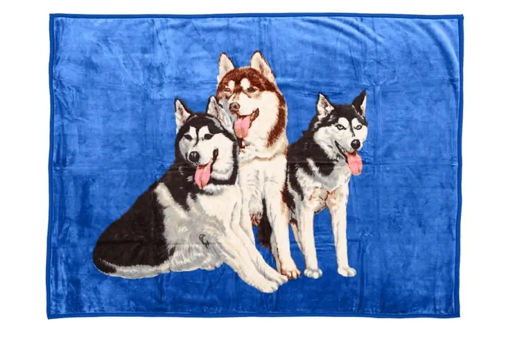koc-elway-160x210-psy-husky-e