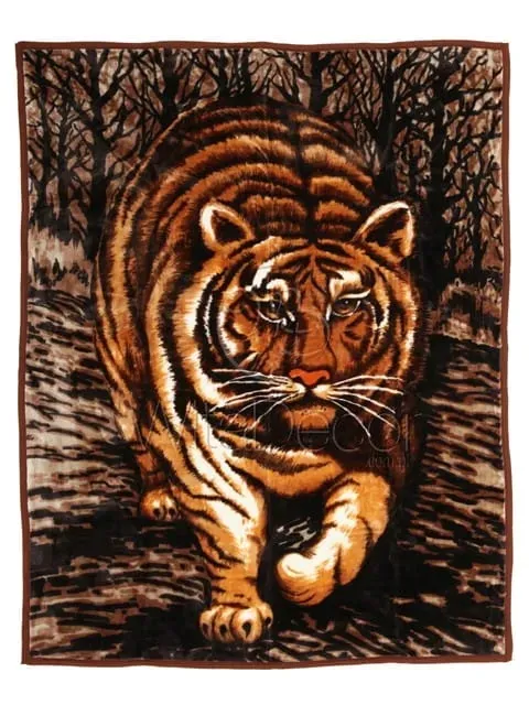 koc-elway-160x210-tygrys