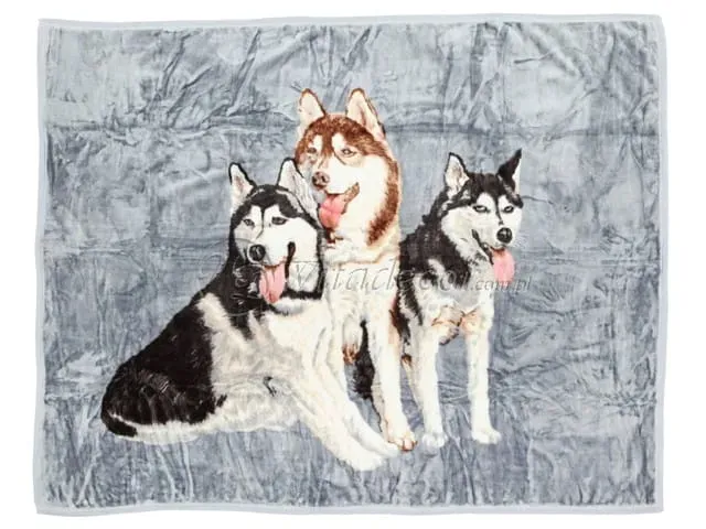 koc-elway-160x210-psy-husky-e