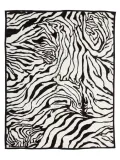 koc-elway-160x210-zebra