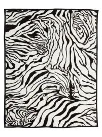 koc-elway-160x210-zebra