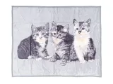 koc-elway-160x210-kotki