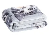 koc-elway-160x210-kotki-stan-nowy
