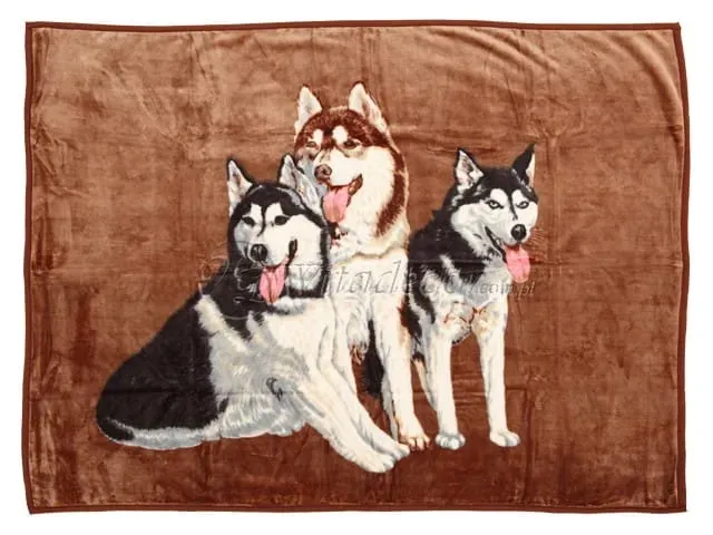 koc-elway-160x210-psy-husky-e