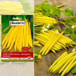 fasola-szparagowa-karlowa-sonesta-nasiona-plantico-40g-warzywa-ogrod-382