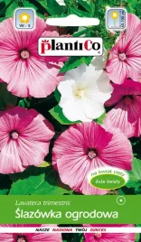slazowka-ogrodowa-mix-nasiona-kwiatow-plantico-1g-379
