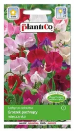 groszek-pachnacy-mieszanka-2g-nasiona-plantico-377