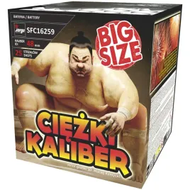 ciezki-kaliber-sfc16259-25-strzalow-1-9