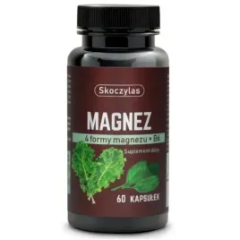 skoczylas-magnez-4-formy-b6-szpinak-jarmuz-60-kaps