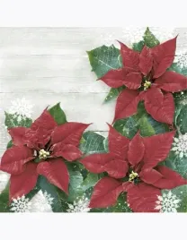 serwetki-gwiazdka-betlejemska-swieta-choinka-20szt-33x33-cm-boze-narodzenie