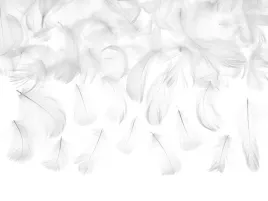 piorka-dekoracyjne-biale-dekoracja-na-wesel-slub