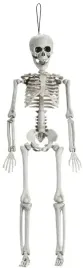 dekoracja-szkielet-czlowieka-kosciotrup-kosci-wiszacy-halloween-40cm