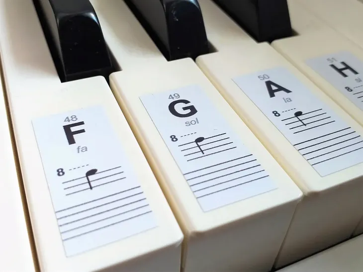 NAKLEJKI NUTY NA KLAWISZE KEYBOARD PIANINO ORGANY