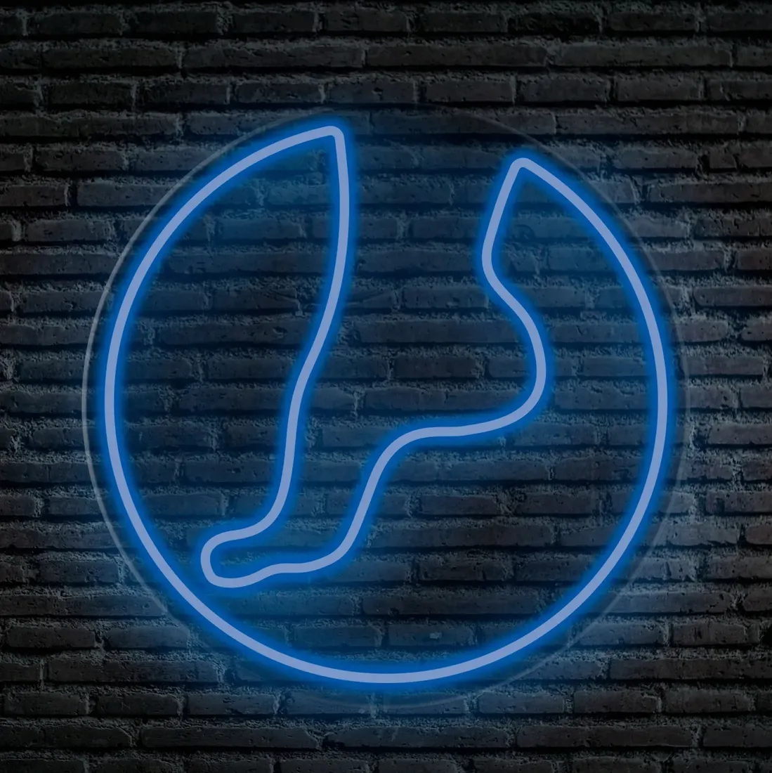 neon-led-dekoracja-scienna-podologia-55x55-plexi