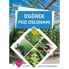 ogorek-pod-oslonami