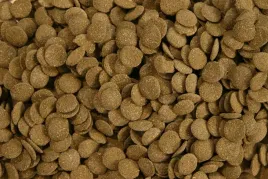 glopex-algen-waferst-50g