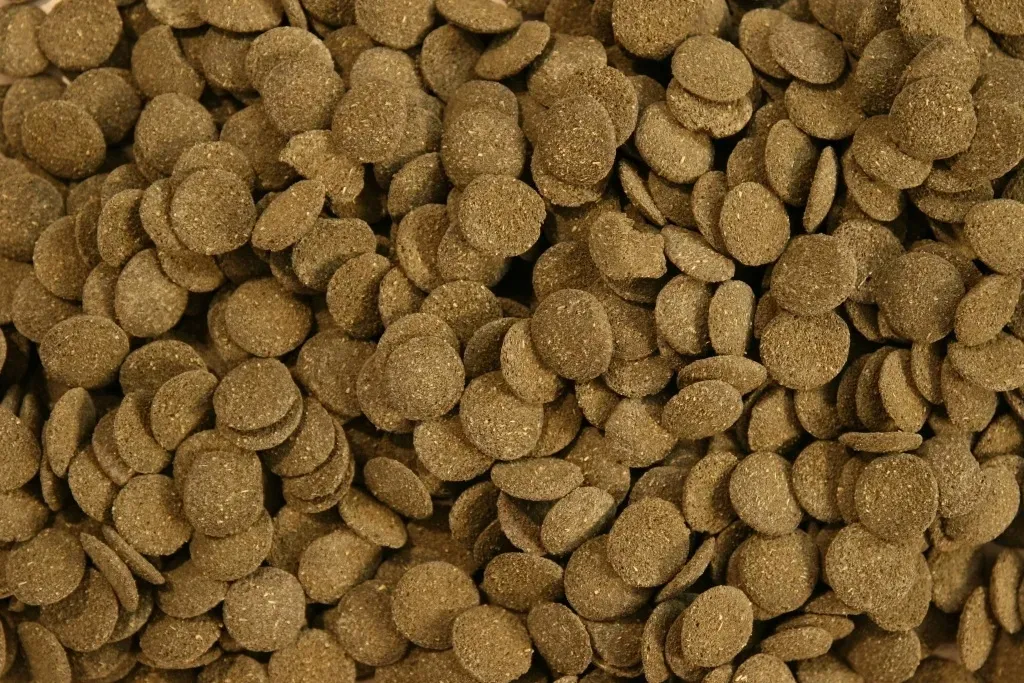 glopex-algen-waferst-50g