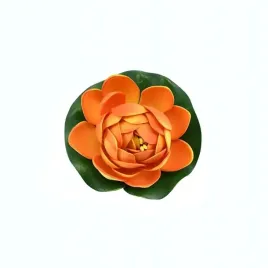 deep-aqua-lilia-do-oczka-wodnego-pomaranczowa-10cm