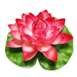 deep-aqua-lilia-do-oczka-wodnego-czerwona-28cm
