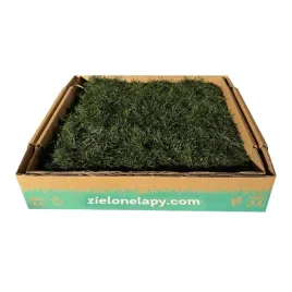 kuweta-dla-psa-nature-ease-z-naturalnej-trawy-50x50-cm