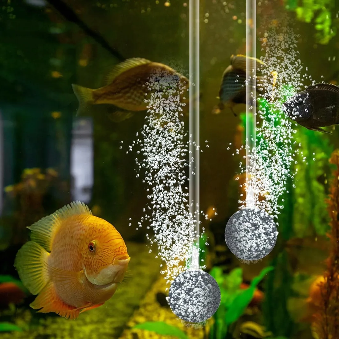 pompa-2-w-do-500-l-h