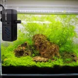 pompa-6-w-do-500-l-h-moc-6-w