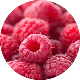 czerwona-malina-pozna-jesienna-powtarzajaca-smaczne-duze-owoce-do-mrozow