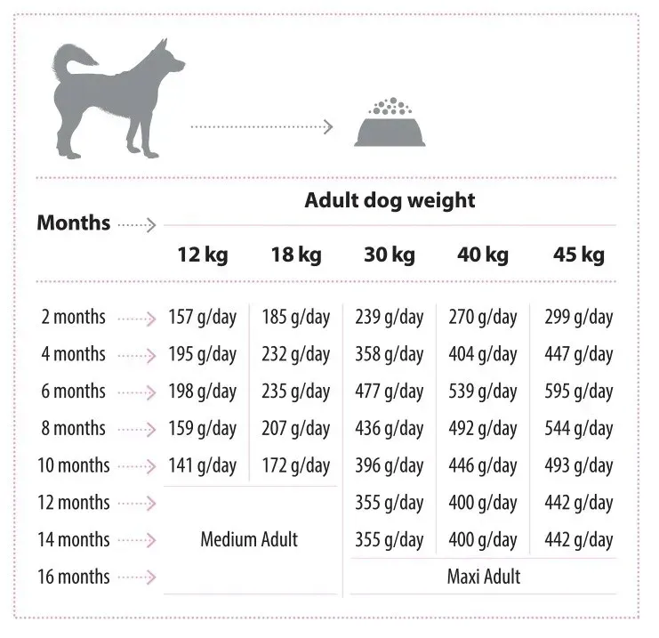 nature-s-protection-junior-lamb-2-kg
