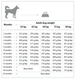 nature-s-protection-maxi-junior-12-kg-marka-nature-s-protection
