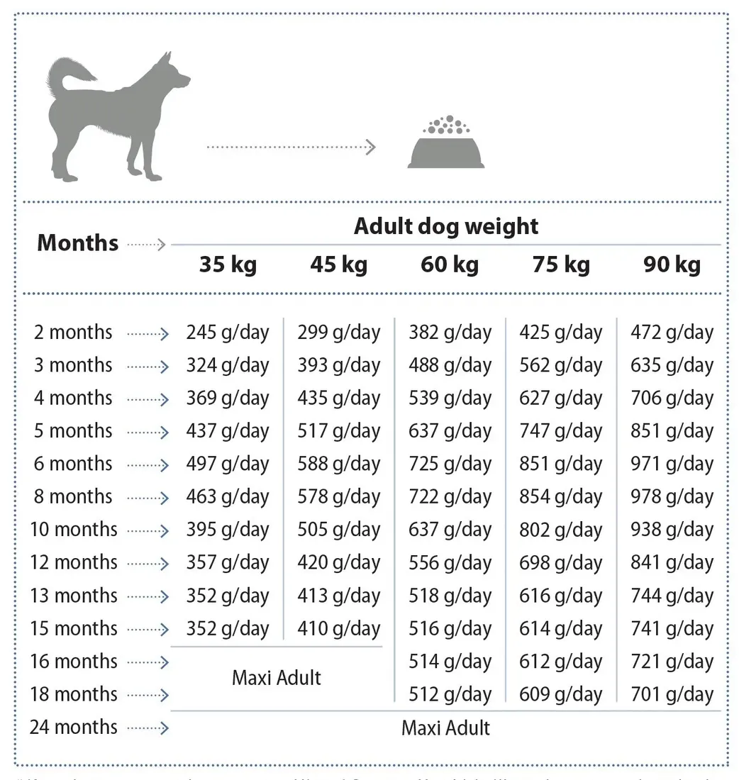 nature-s-protection-maxi-junior-12-kg