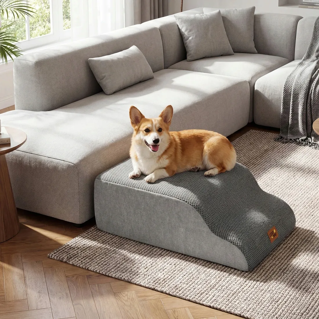 5-stopniowe-schodki-dla-psa