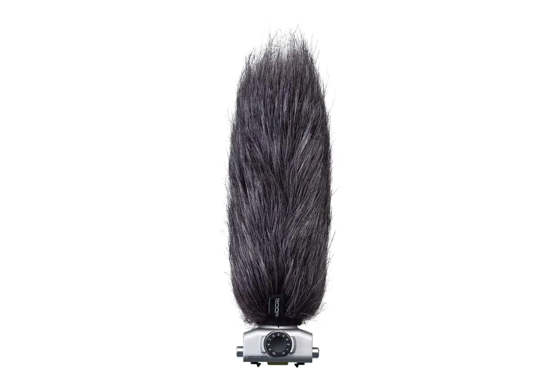 mikrofon-zoom-wsu-2