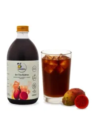homesoda-ice-tea-kaktus-500ml-syrop-do-sodastream