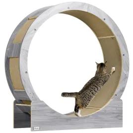 biegacz-dla-kota-91-cm-z-hamulcem-szary