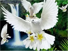 obraz-malowanie-po-numerach-50x40-rama