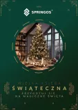 choinka-sztuczna-springos-do-100-cm-szerokosc-maksymalna-50-cm