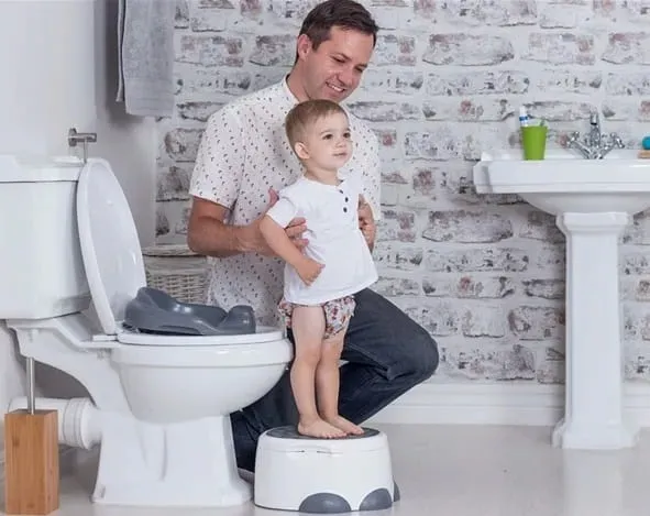 nocnik-3w1-step-n-potty-hemlock-bumbo-stan-nowy