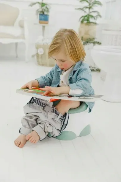 nocnik-3w1-step-n-potty-hemlock-bumbo-stan-nowy