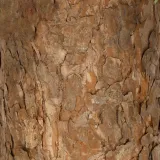 choinka-sztuczna-springos-do-100-cm-waga-z-opakowaniem-2-3-kg