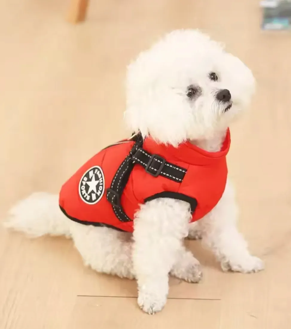 kamizelka-dkm-czerwony-m