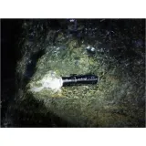 latarka-diodowa-fenix-e12-v2-0-160lm-cechy-dodatkowe-o-ring-linka-mocujaca