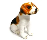 maskotka-duzy-pies-beagle-40cm