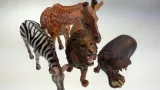 zwierzeta-lew-zyrafa-zebra-hipopotam-bohater-brak