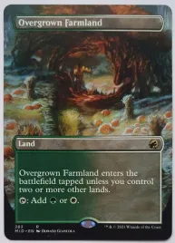 mtg-overgrown-farmland-borderless-foil-or-mid-rare-en-nm-or-premium-land