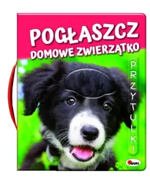 poglaszcz-domowe-zwierzatko-natalia-kawalko-dzikowska
