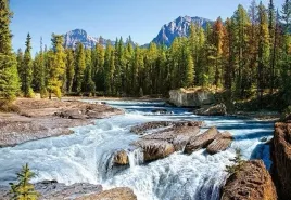 puzzle-castorland-1500-elementow-rzeka-athabasca-park-narodowy