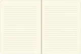 notatnik-notes-b6-peter-pauper-press-sercowe-drzewo-marka-peter-pauper-press