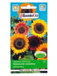 slonecznik-helianthus-annus-nasiona-2-g-plantico-372